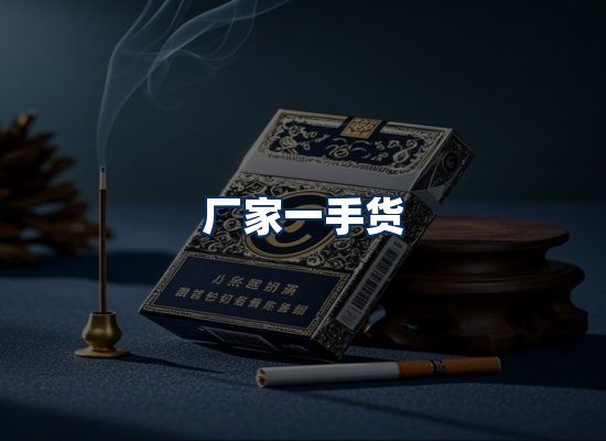 专业团队办公环境